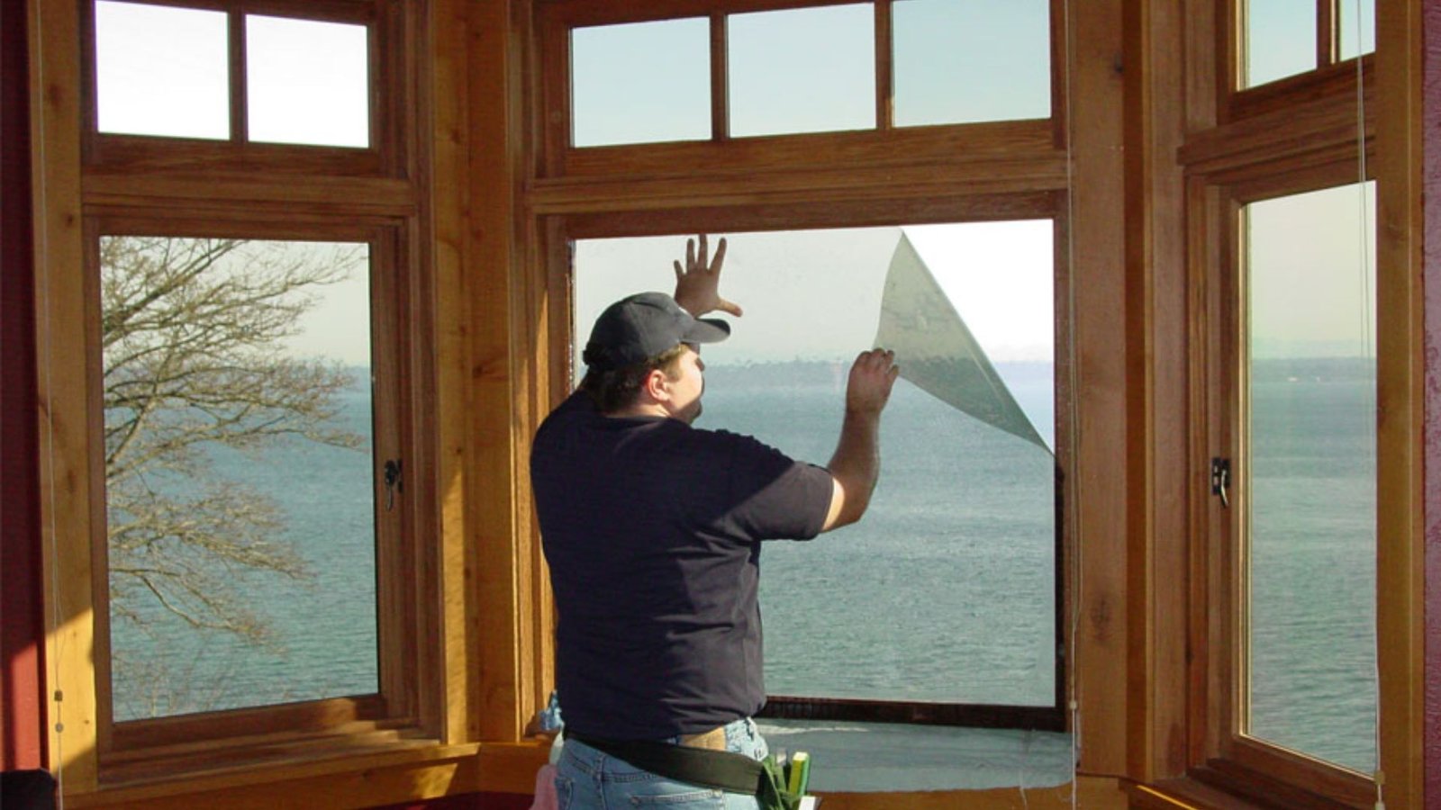 Exploring the World of Window Film